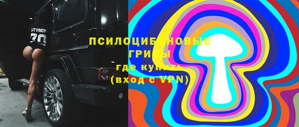 бошки Алексин