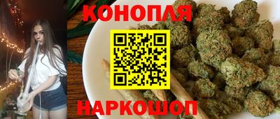 гидропоника Новокубанск