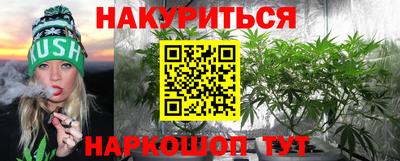гидропоника Новокубанск
