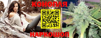 твердый Новодвинск