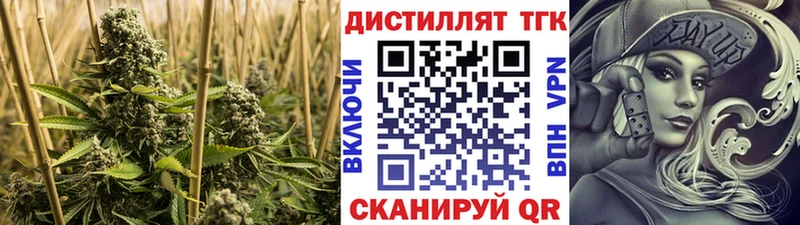 ТГК концентрат  Шуя 