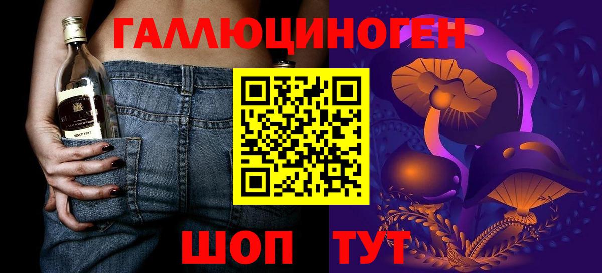 закладка  Вход с VPN  Шуя  Псилоцибиновые грибы мухоморы 